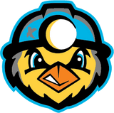 Charleston Dirty Birds logo