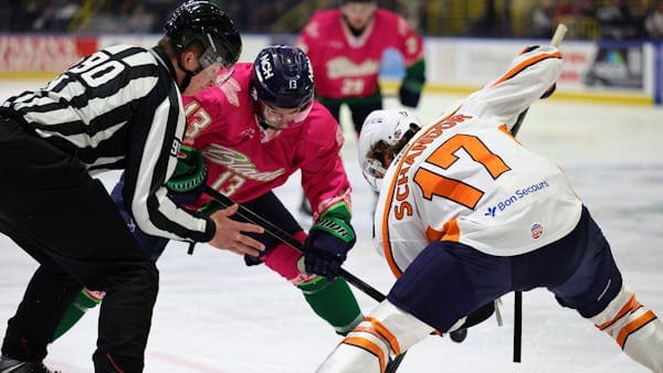 Greenville Swamp Rabbits facility photo 3