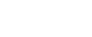 Palmetto Park logo