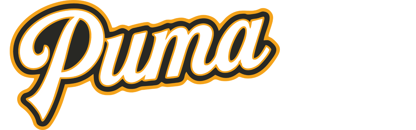 Puma Baseball Academy facility photo 3