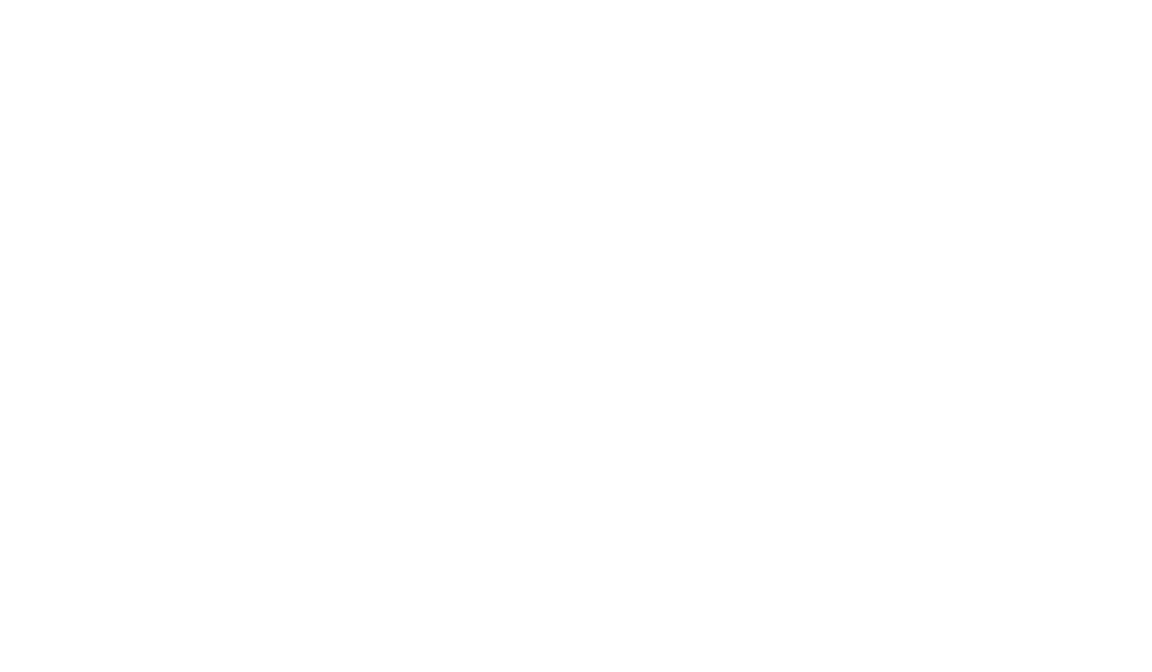 RISE Baseball logo