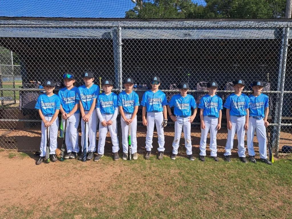 Semmes Baseball Association — League in Semmes, AL
