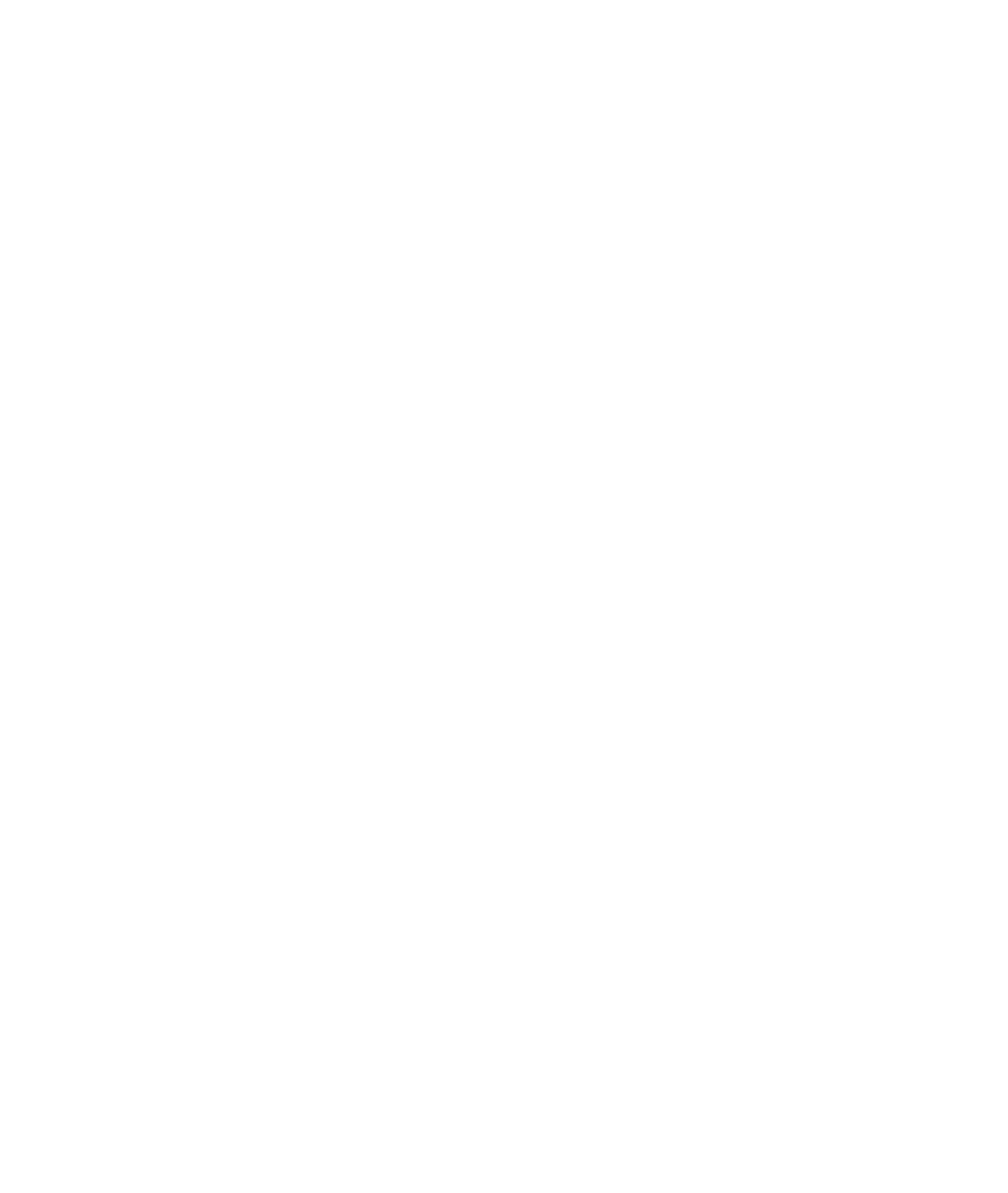 Streaking Birdies logo