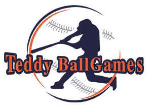 Teddy BallGames — Training Center in South Bend, IN