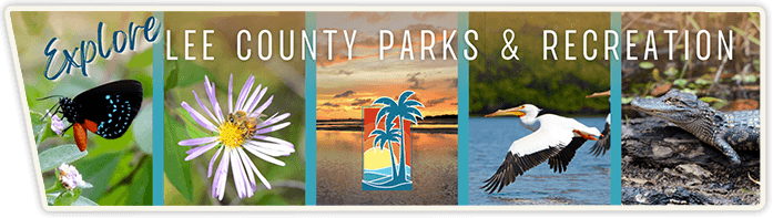 Terry Park Sports Complex — Club in Fort Myers, FL