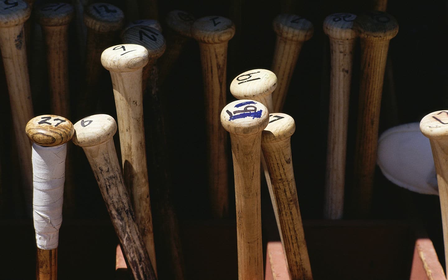 throgs neck batting cages — Batting Cages in Bronx, NY