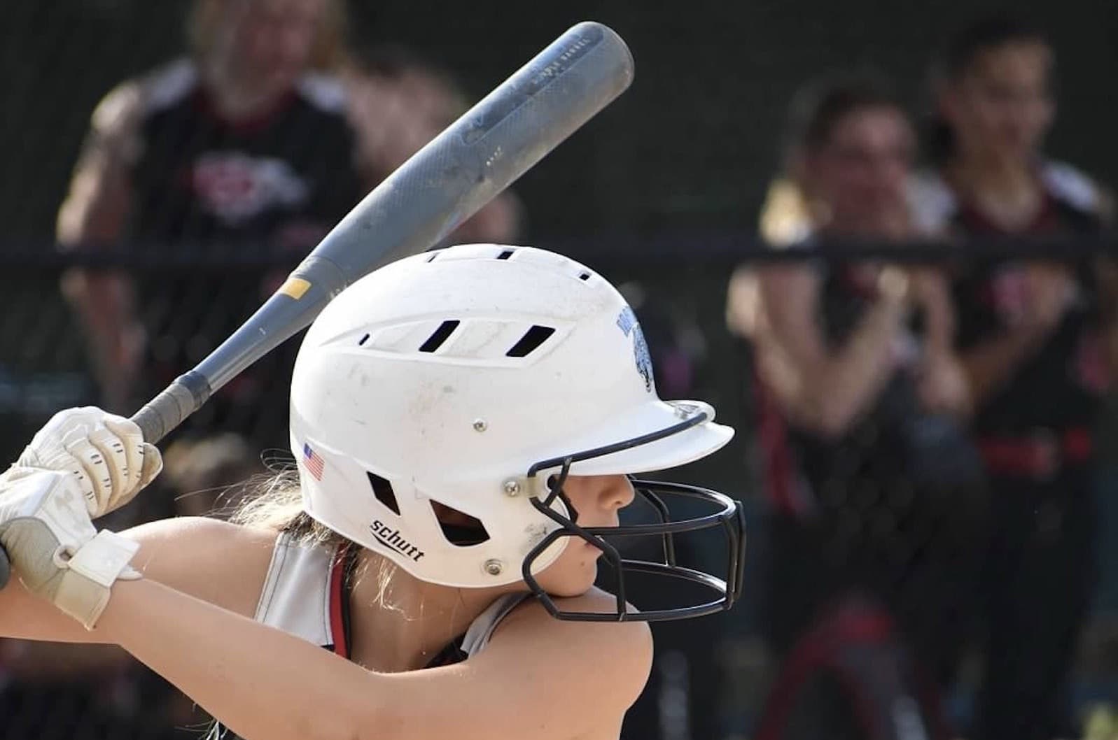 TLC SOFTBALL SERVICES — Training Center in Savage, MN