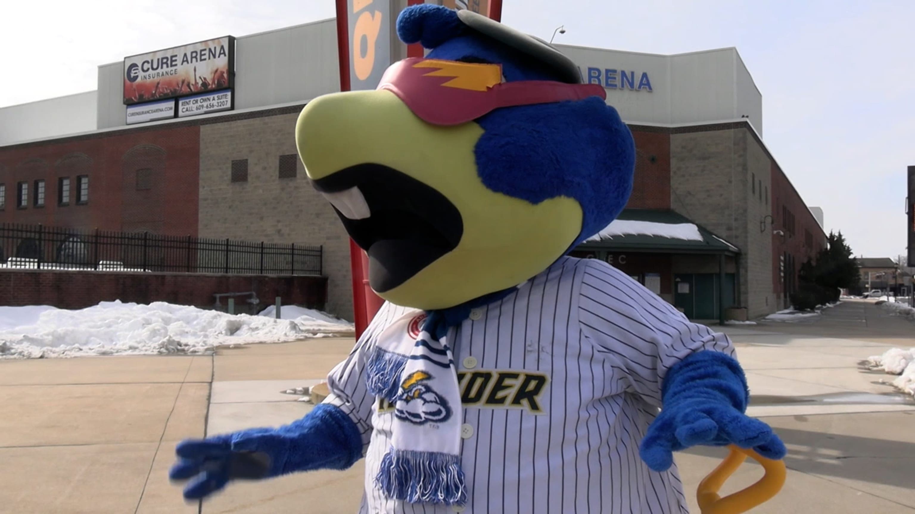 Trenton Thunder Baseball — League in Trenton, NJ