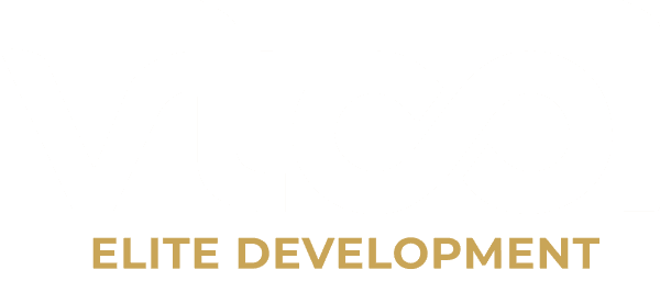 VTool Elite Development logo