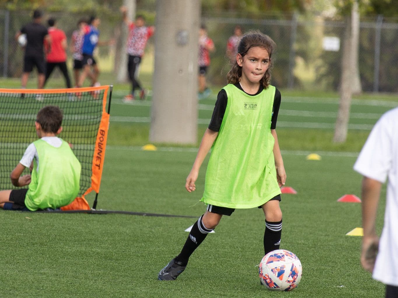 Wild About Sports Academy facility photo 2