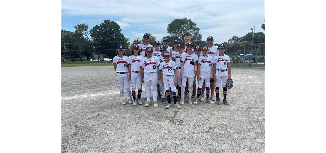 Ypsi-Arbor Little League — League in Ypsilanti, MI