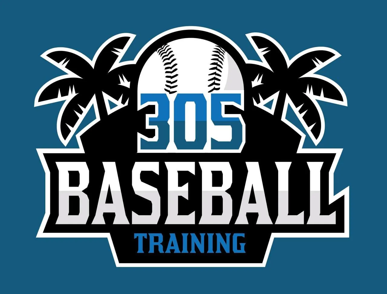 305 Baseball Training facility photo 3