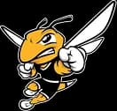 American International College Athletics logo