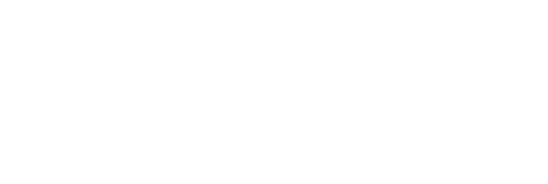 Archie Allen Field logo