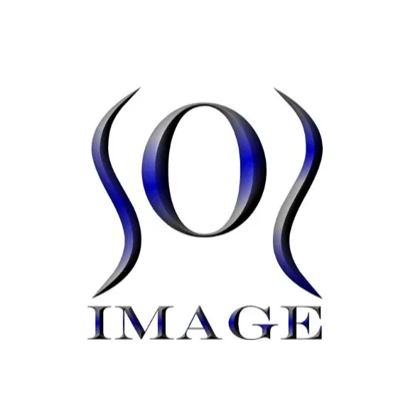 Athletic Empire Sports Performance logo