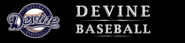 Devine Baseball logo