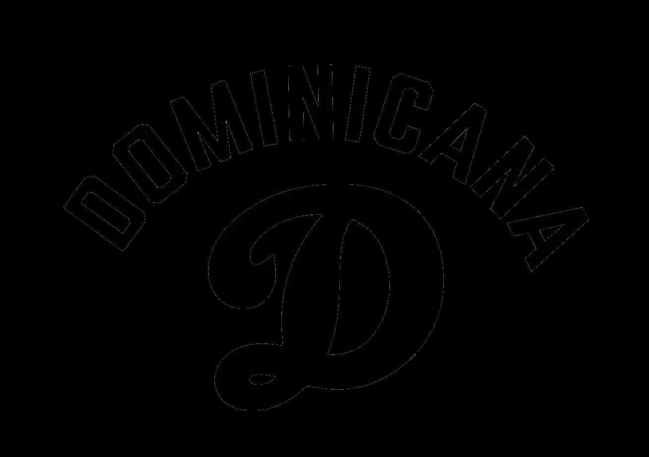Dominicana Baseball Training LLC logo