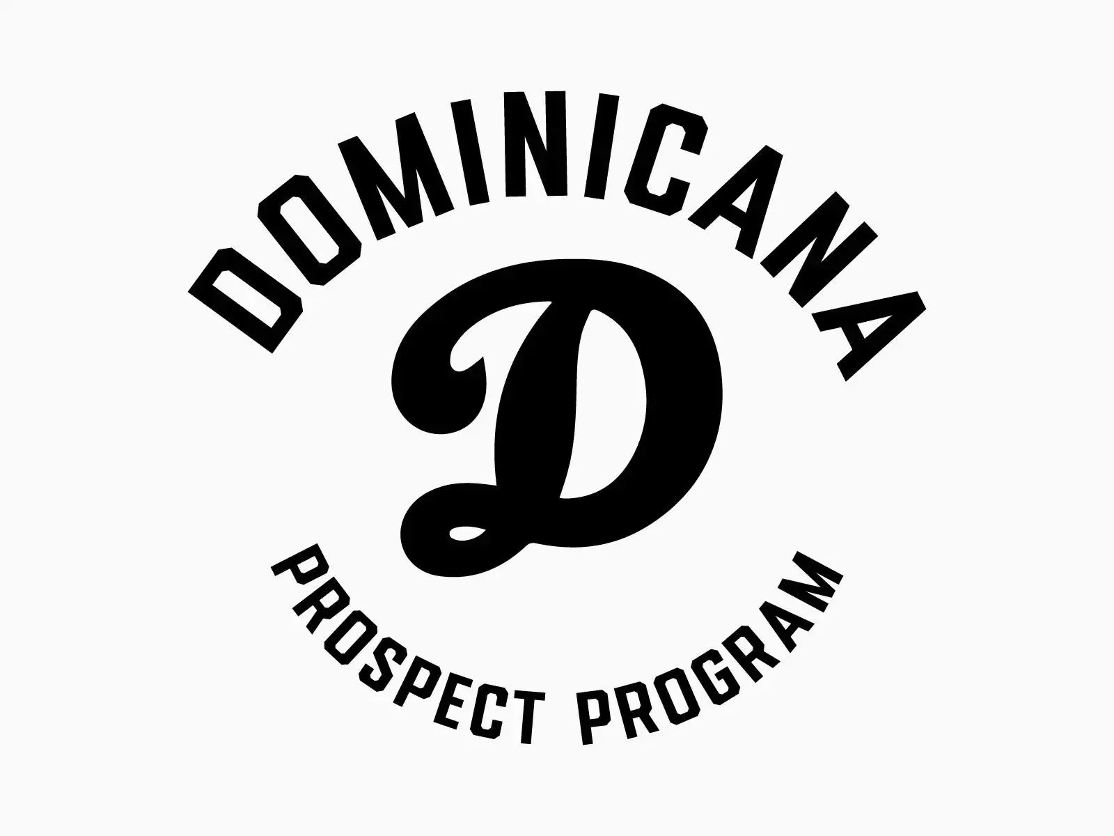 Dominicana Baseball Training LLC facility photo 3