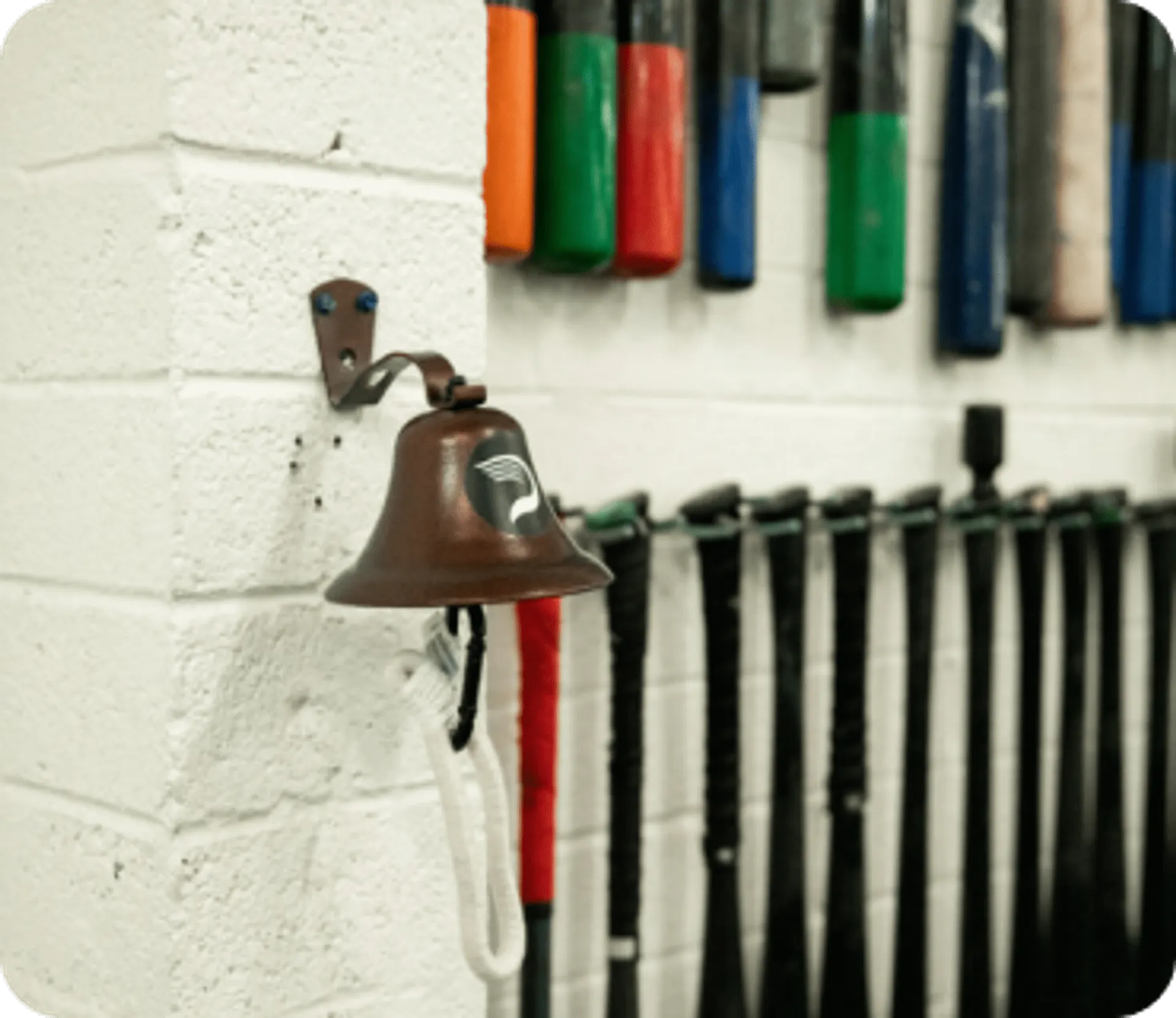 Driveline Baseball - Arizona facility photo 2