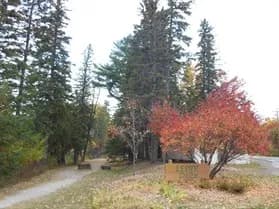 Lester Park Trails & Playground facility photo 2