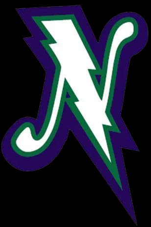 Louisiana Baseball Academy logo