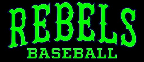 Michigan Rebels Girls Fastpitch & Boys Baseball facility photo 2