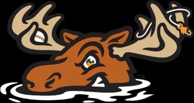 Missoula PaddleHeads logo