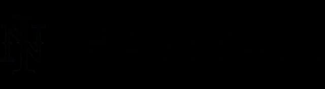 Ninth Inning Baseball, LLC. logo
