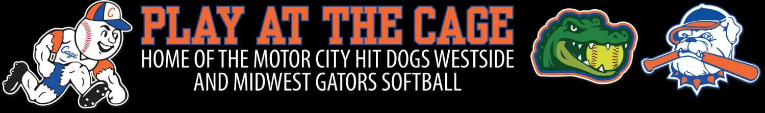 Play At The Cage logo