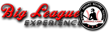 Big League Experience Baseball logo