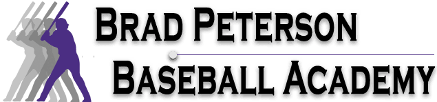 Brad Peterson Baseball Academy logo