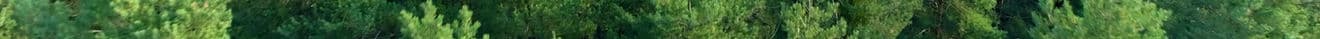 Cryptid Mountain Miniature Golf logo