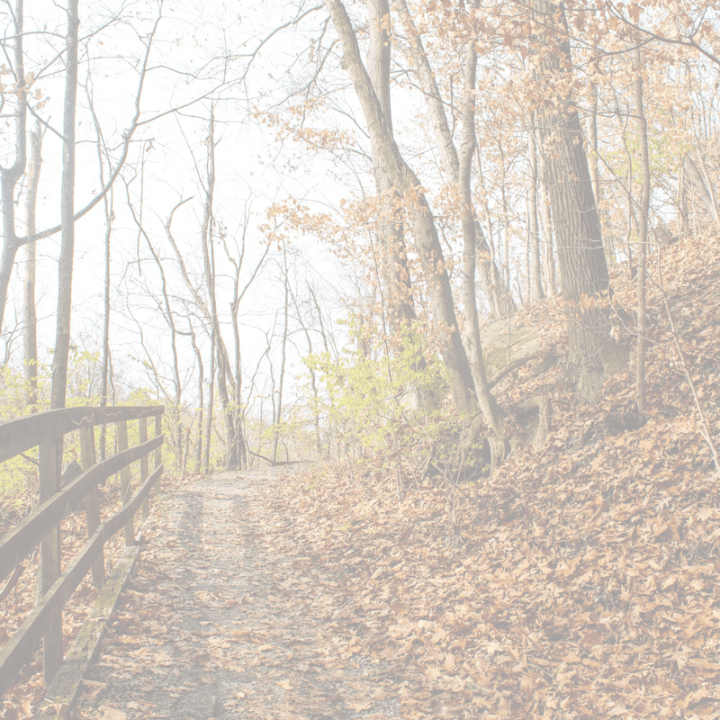Morgantown Park & Recreation facility photo 3