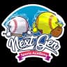 Next Gen Sports Academy logo