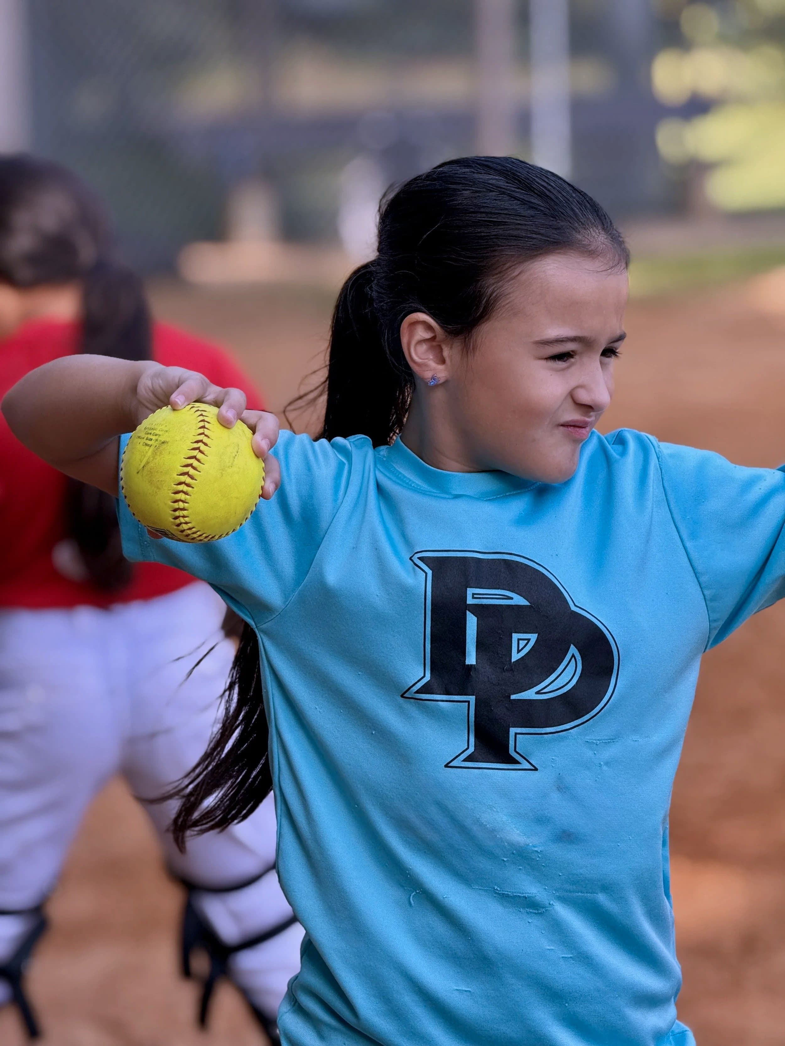 Reap the Harvest Fastpitch facility photo 2