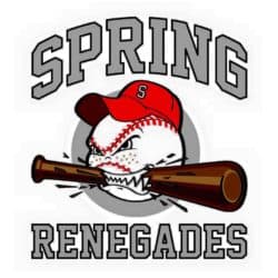 Spring Youth Baseball logo