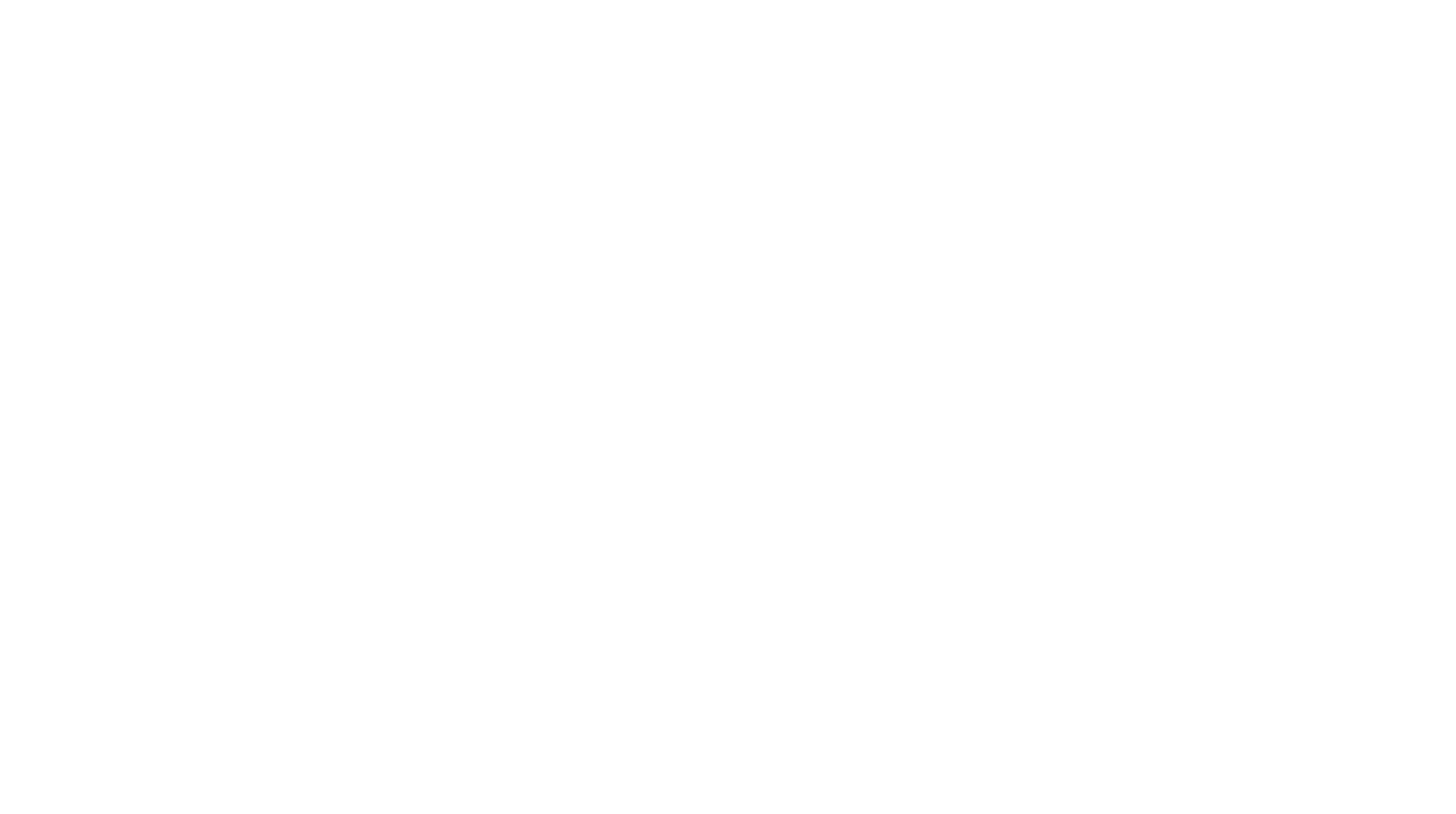 The City of North Charleston Athletic Center logo