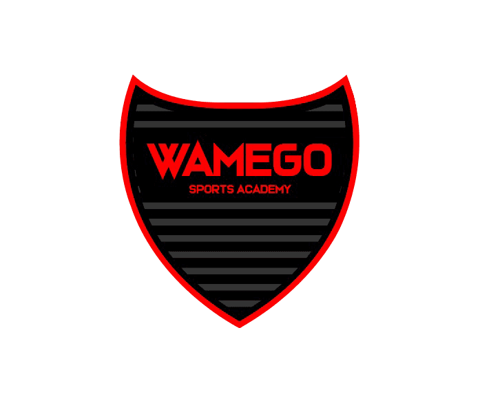 The Dub (Wamego Sports Academy) facility photo 3
