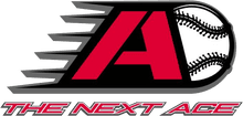 The Next Ace Private Baseball Softball Lessons & Team Rentals logo