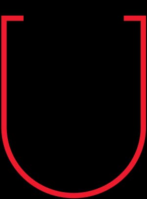 THE U Developmental Facility logo