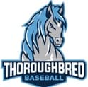 Thoroughbred Baseball Academy logo