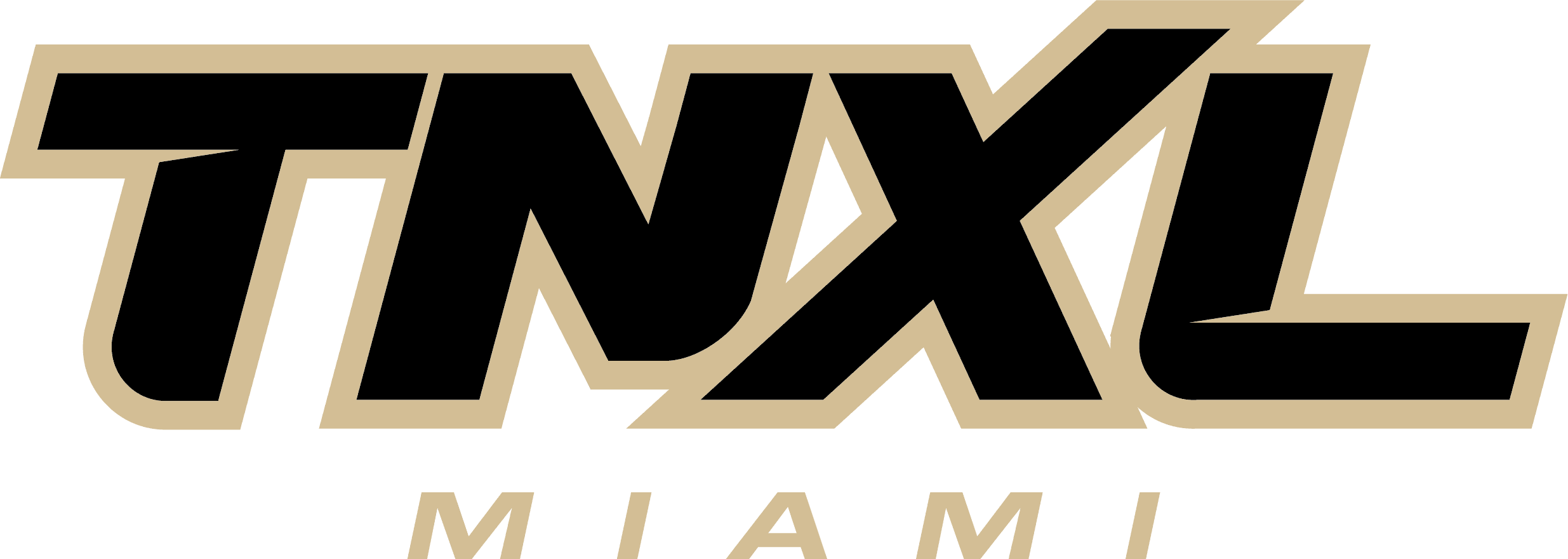 TNXL Baseball Academy - Miami logo