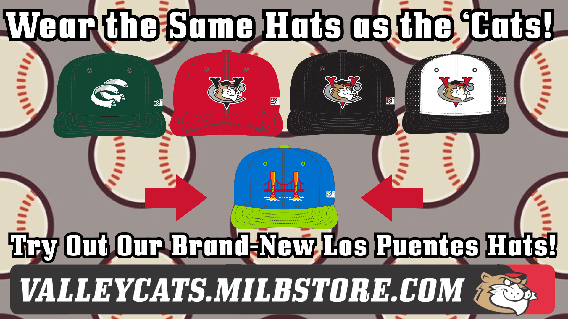 Tri-City ValleyCats facility photo 2