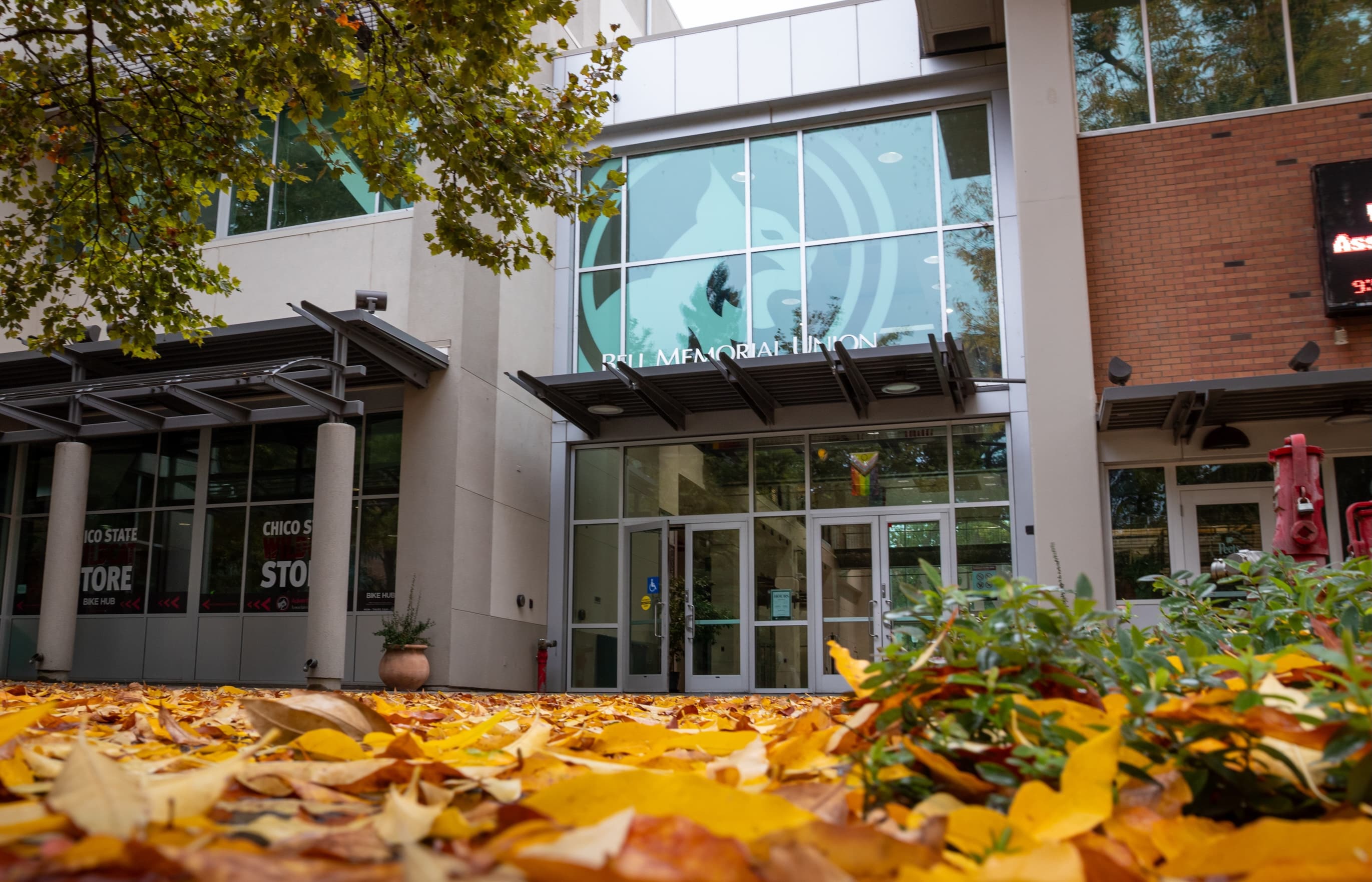 Wildcat Recreation Center (WREC) facility photo 3