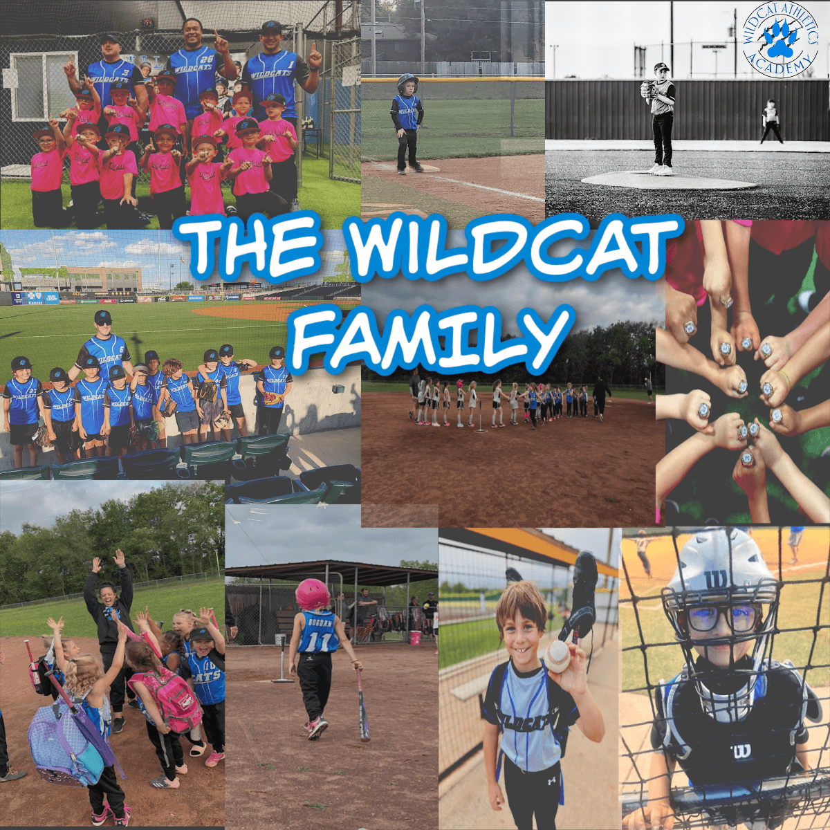 Wildcats Athletics Academy Basketball facility photo 2